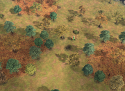 ScoutLoS AoE4