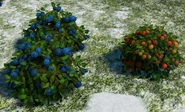 A Berry Bush and two Blueberry Bushes in Scandinavia in Age of Empires III: Definitive Edition - Knights of the Mediterranean