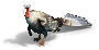 Turkey aoe2de prev.png