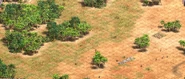 Contrast between outer desert area (right) and inner forested area (left) in Age of Empires II