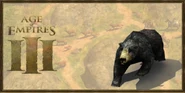 The Black Bear's history portrait