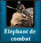 Éléphant de combat