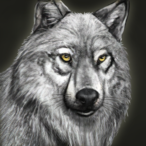 Item:Web Camera, White Wolf Wiki