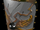 Escudo Rectangular (Age of Empires)