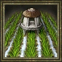 Indian rice paddy.png (23 KB) Unused Indian Rice Paddy portrait