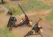 A group of Traction Trebuchets