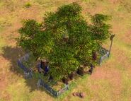 A Mango Grove in-game