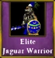 Elite Jaguar Warrior