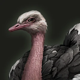 Ostrich portrait aoe3de