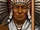 Chief Brave Wolf