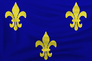  Flag FrenchDE.png