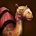 Hausa camel