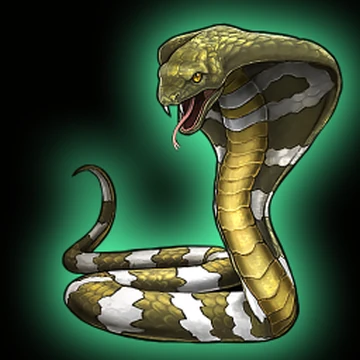 7 races de serpents domestiques