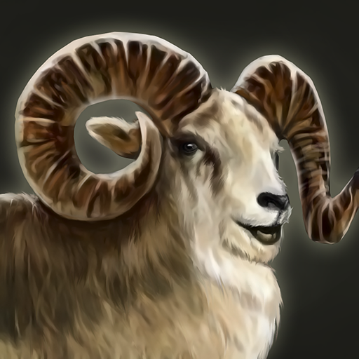 marco polo sheep horns