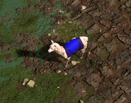 Close-up of the Llama Caravan in Retold