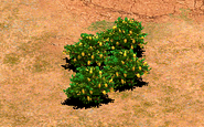 Fruit Bushes in Age of Empires II