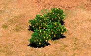 Fruit Bushes in Age of Empires II.