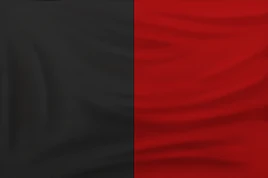 Haiti flag revolt DE