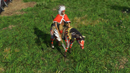In-game Lakota War Chief in the Definitive Edition