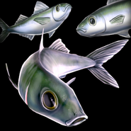 The icon used by all Fish in Age of Mythology: Retold