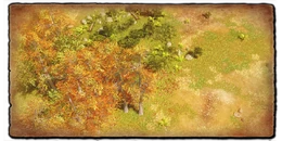 AoE3DE Plymouth 3