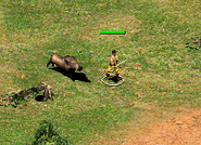 An angered Wild Boar chasing a Villager in Age of Empires II