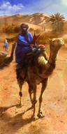 Alliance Berbers.png