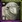 Spanish Home City 1 (7 Sheep).png