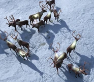 GreatHunt Retold.png (1.22 MB) Great Hunt invoked in Retold