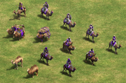 Camel units AoE2 DE