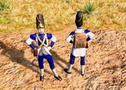 In-game Guard/Imperial Grenadier in the Definitive Edition