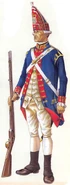 An illustration of a real-life Grenadier (Prussian)