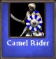 Camel Rider