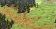 Landnomad terrain4 aoe2de.png (3.07 MB) Terrain view #4