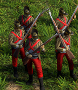 In-game Indonesian Revolutionary (Revolutionary after sending the "Kraton Guards" Home City Card )