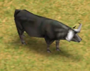Waterbuffalo.png (161 KB) An Water Buffalo in Age of Mythology