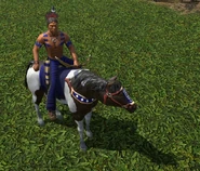 An in-game Bow Rider in the Definitive Edition