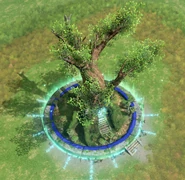 Tsukuyomi wonder.png (2.45 MB) The giant camphor tree Takeo no Okusu, the Wonder for Tsukuyomi