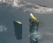 Sardines out of water in the Definitive Edition