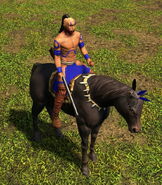 In-game (Elite) Musket Rider in the Definitive Edition