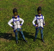 In-game Hungarian Grenadier
