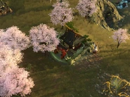 Cherry Trees spawned near a Shrine