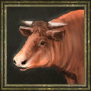 Cow portrait in the Age of Empires III beta