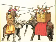 North african vs indian elephant.png (922 KB) Ptolemaic soldiers of Egypt atop a now-extinct North African forest Elephant (left) fighting Seleucids of Persia atop an Indian one (right) in the Battle of Raphia, 217 BC