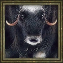 Musk Ox portrait in the Age of Empires III beta