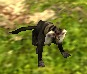 An in-game Lion-Tailed Macaque