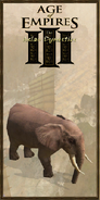 Elephant history portrait