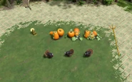 Pumpkin model of the Berry Bushes in the "Holidaze Event" (November 25–December 22, 2024) in Age of Mythology: Retold