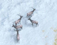 Aomr great hunt anim.gif (1.27 MB) Animation of Great Hunt being invoked on Elk in Retold