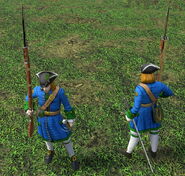 An in-game Irish Brigadier